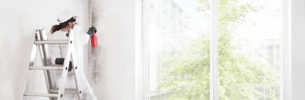 Best Emergency Mold Remediation  in Tuolumne City, CA